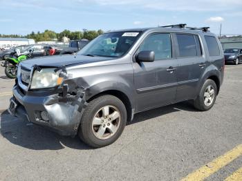  Salvage Honda Pilot