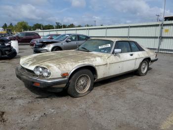  Salvage Jaguar Xjs