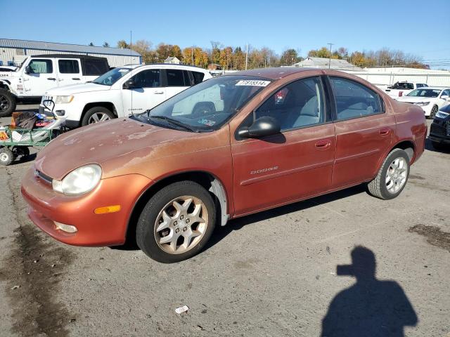  Salvage Dodge Neon