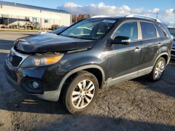  Salvage Kia Sorento