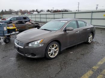  Salvage Nissan Maxima