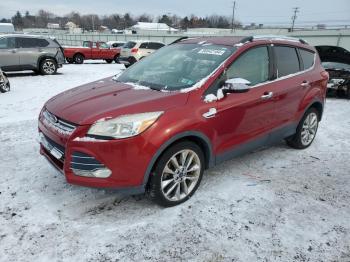  Salvage Ford Escape