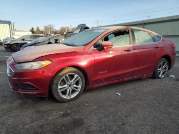  Salvage Ford Fusion