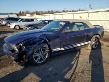  Salvage Ford Mustang