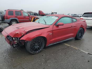  Salvage Ford Mustang