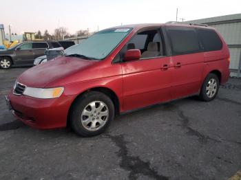  Salvage Honda Odyssey