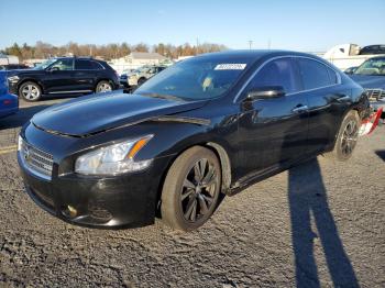  Salvage Nissan Maxima