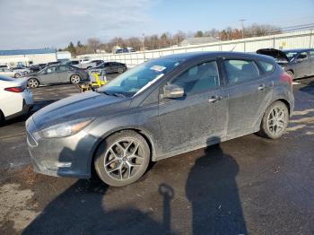  Salvage Ford Focus