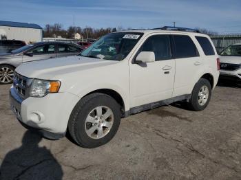  Salvage Ford Escape