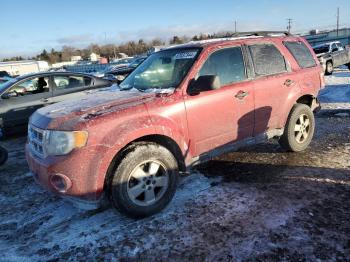  Salvage Ford Escape