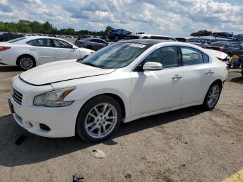  Salvage Nissan Maxima