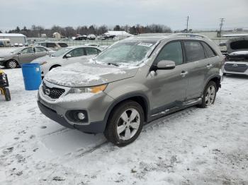  Salvage Kia Sorento