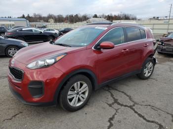  Salvage Kia Sportage