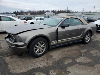  Salvage Ford Mustang