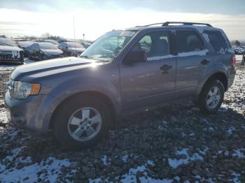  Salvage Ford Escape