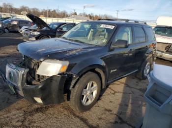  Salvage Mercury Mariner