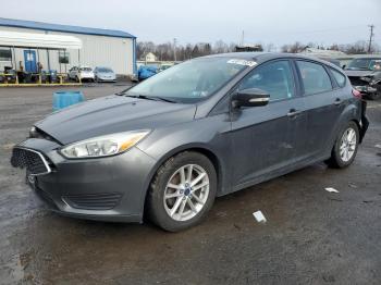  Salvage Ford Focus