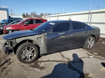  Salvage Dodge Charger