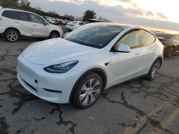  Salvage Tesla Model Y