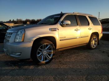  Salvage Cadillac Escalade