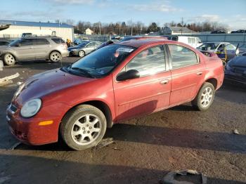  Salvage Dodge Neon