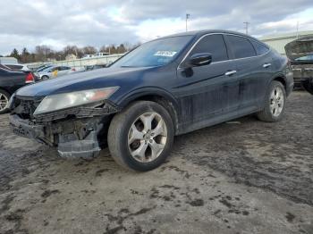  Salvage Honda Crosstour