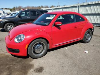  Salvage Volkswagen Beetle