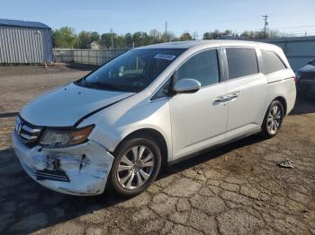  Salvage Honda Odyssey