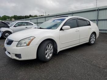  Salvage Nissan Maxima