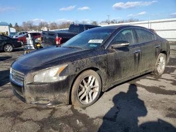  Salvage Nissan Maxima