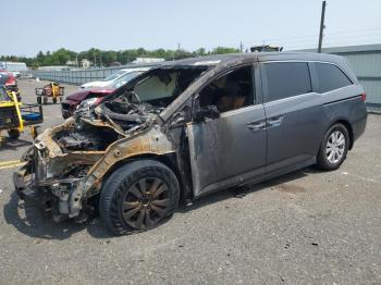  Salvage Honda Odyssey