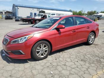  Salvage Hyundai SONATA