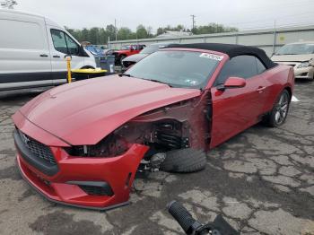  Salvage Ford Mustang