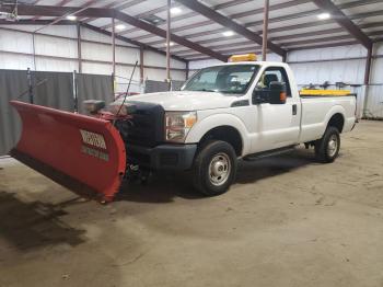  Salvage Ford F-250
