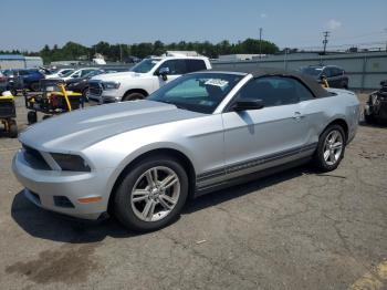  Salvage Ford Mustang