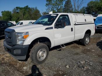  Salvage Ford F-250