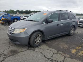  Salvage Honda Odyssey