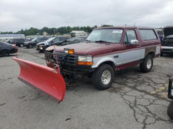  Salvage Ford Bronco
