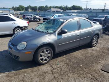  Salvage Dodge Neon