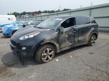  Salvage Kia Sportage