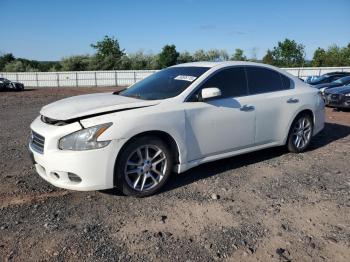  Salvage Nissan Maxima