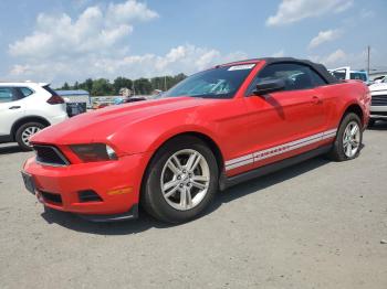  Salvage Ford Mustang