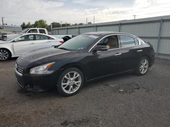  Salvage Nissan Maxima