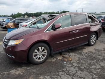  Salvage Honda Odyssey