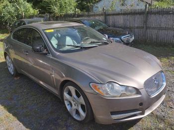  Salvage Jaguar XF