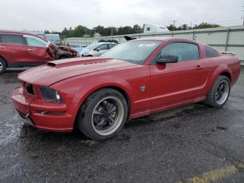  Salvage Ford Mustang