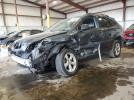 Lexus RX 330 Image 1