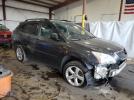 Lexus RX 330 Image 2
