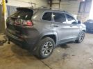 Jeep Cherokee Trailhawk Image 2