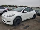 Tesla Model Y Image 1